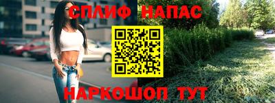 apvp Ставрополь